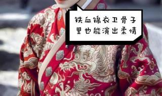 我的锦衣卫大人开车是哪段