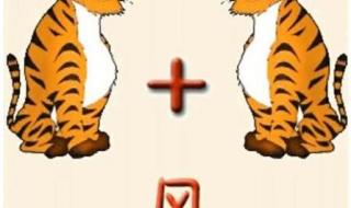 三只老虎一只羊猜成语