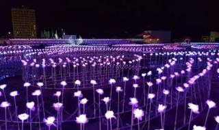 12月15日是什么节日