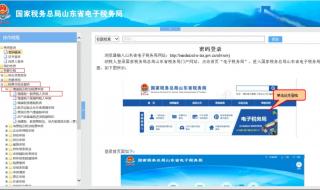 山东省地方税务局网上申报
