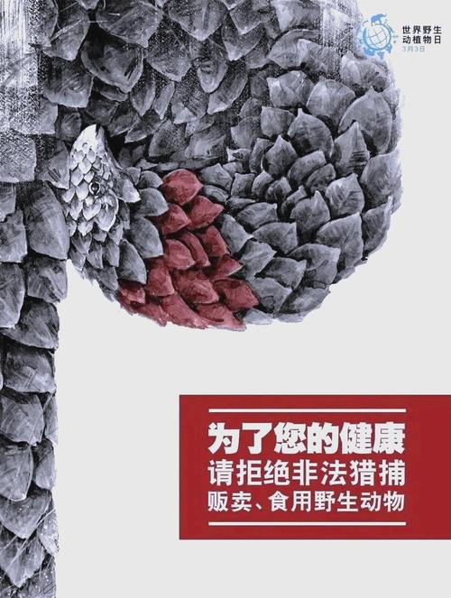 非法野生动物交易（非法野生动物交易的危害有哪些）