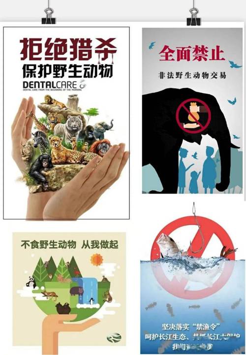 非法野生动物交易（非法野生动物交易的危害有哪些）