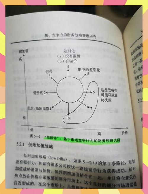 战略意义和政治效应(战略意义深远)