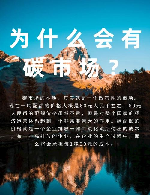 全球碳市场建设(全球碳交易)