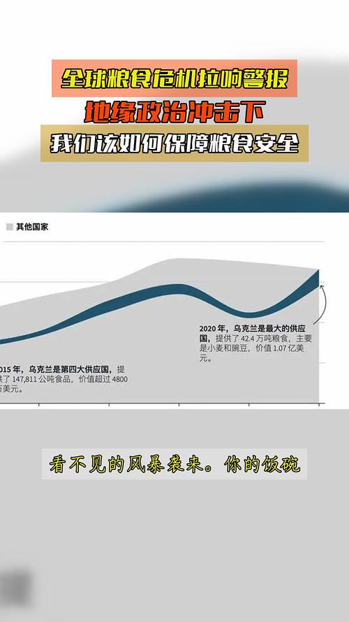 全球粮食安全（全球粮食安全仍未解除危机具体表现为）