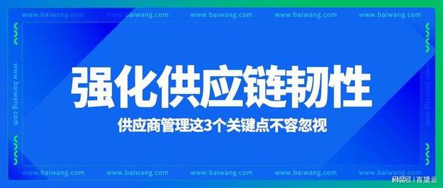 供应链韧性建设(供应链 韧性)