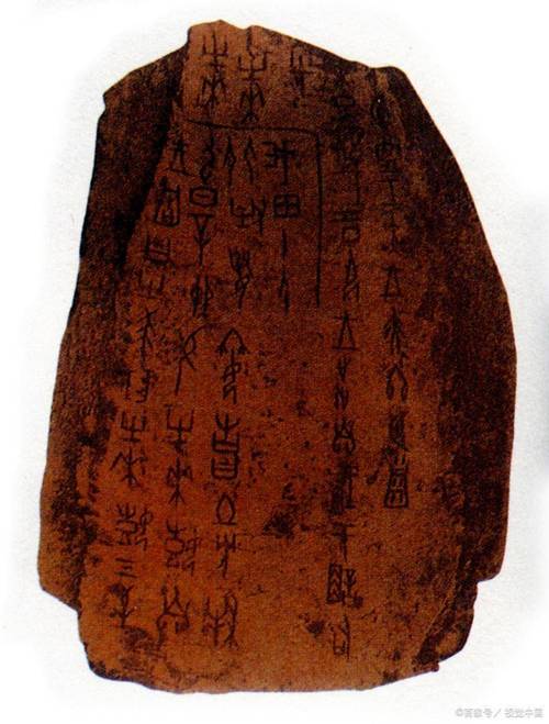 甲骨文AI业务增长(2021年甲骨文的现状)